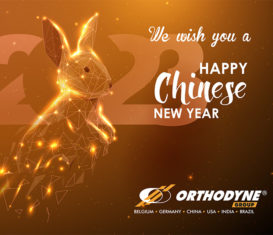The Chinese New Year